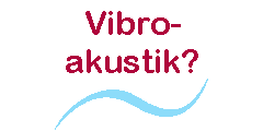 Vibroakustik?